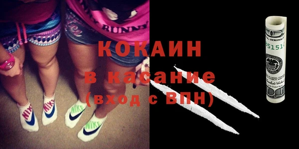 хмурый Чита
